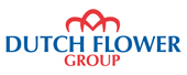 logo Dutch Flower Group