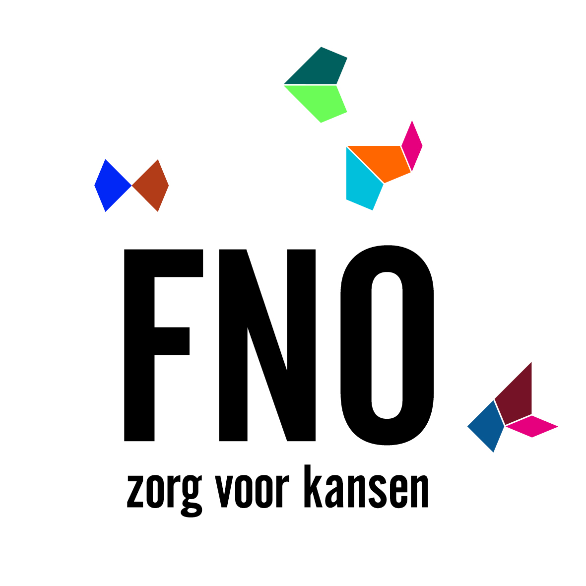 logo FNO